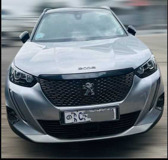 2022 Peugeot 2008 P24 SUV