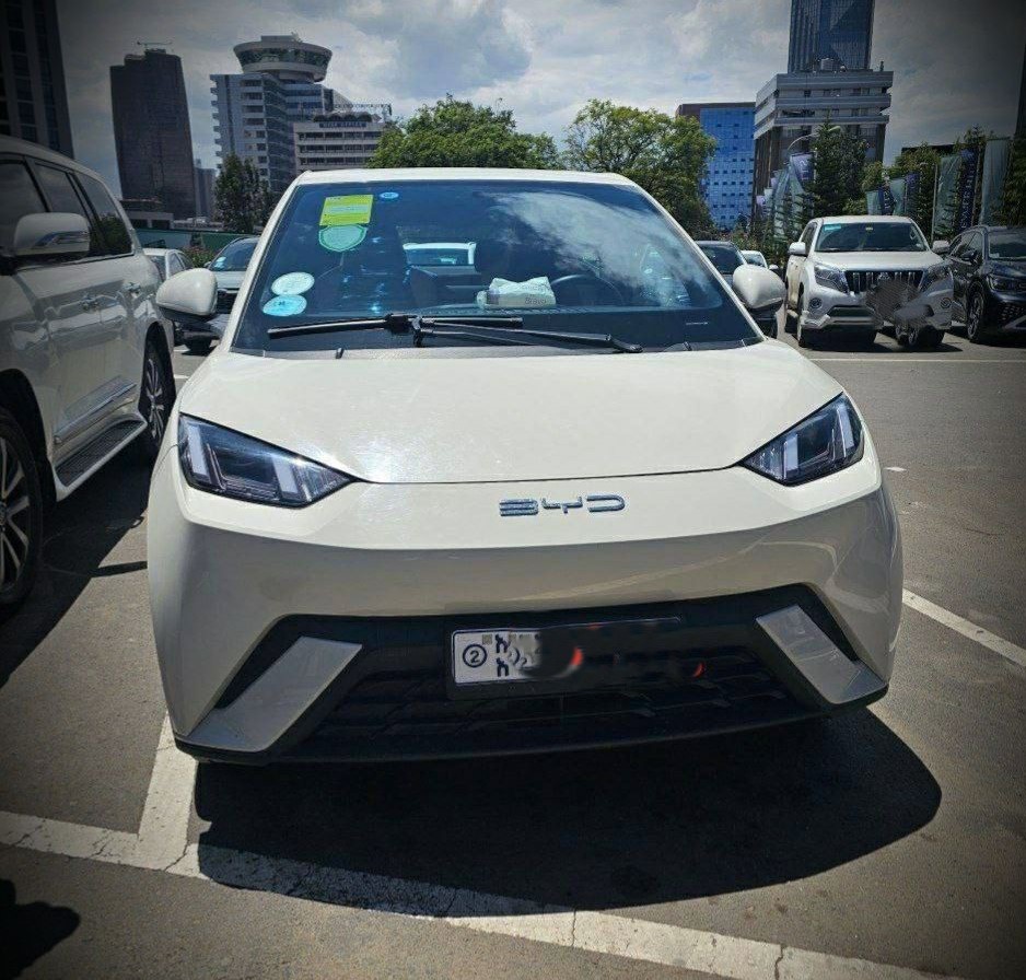 BYD Seagull (A)
