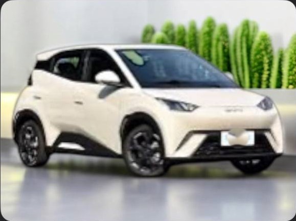 2025 BYD Seagull (A) 50% Bank