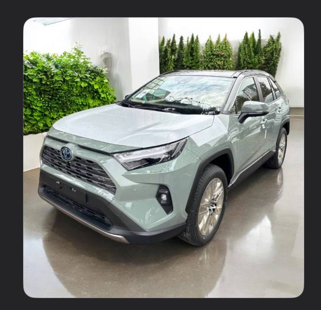 Toyota RAV4 (XA50) PHEV