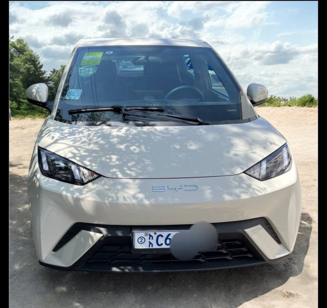 For Sale: 2024 BYD Seagull