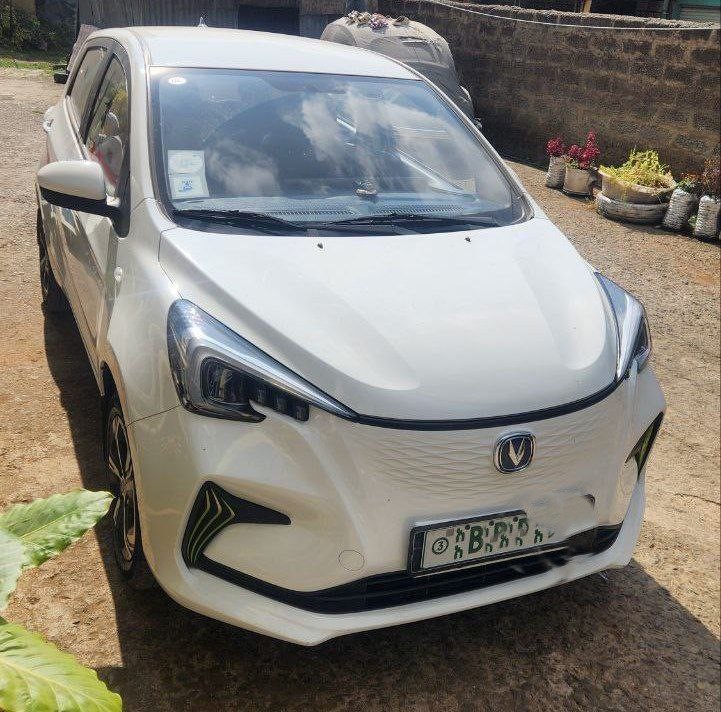 Changan Benben EV E-Star