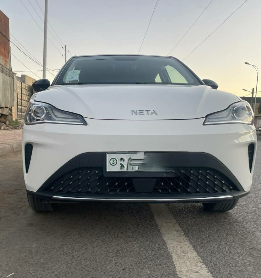 HOZON NETA AYA EV (V)