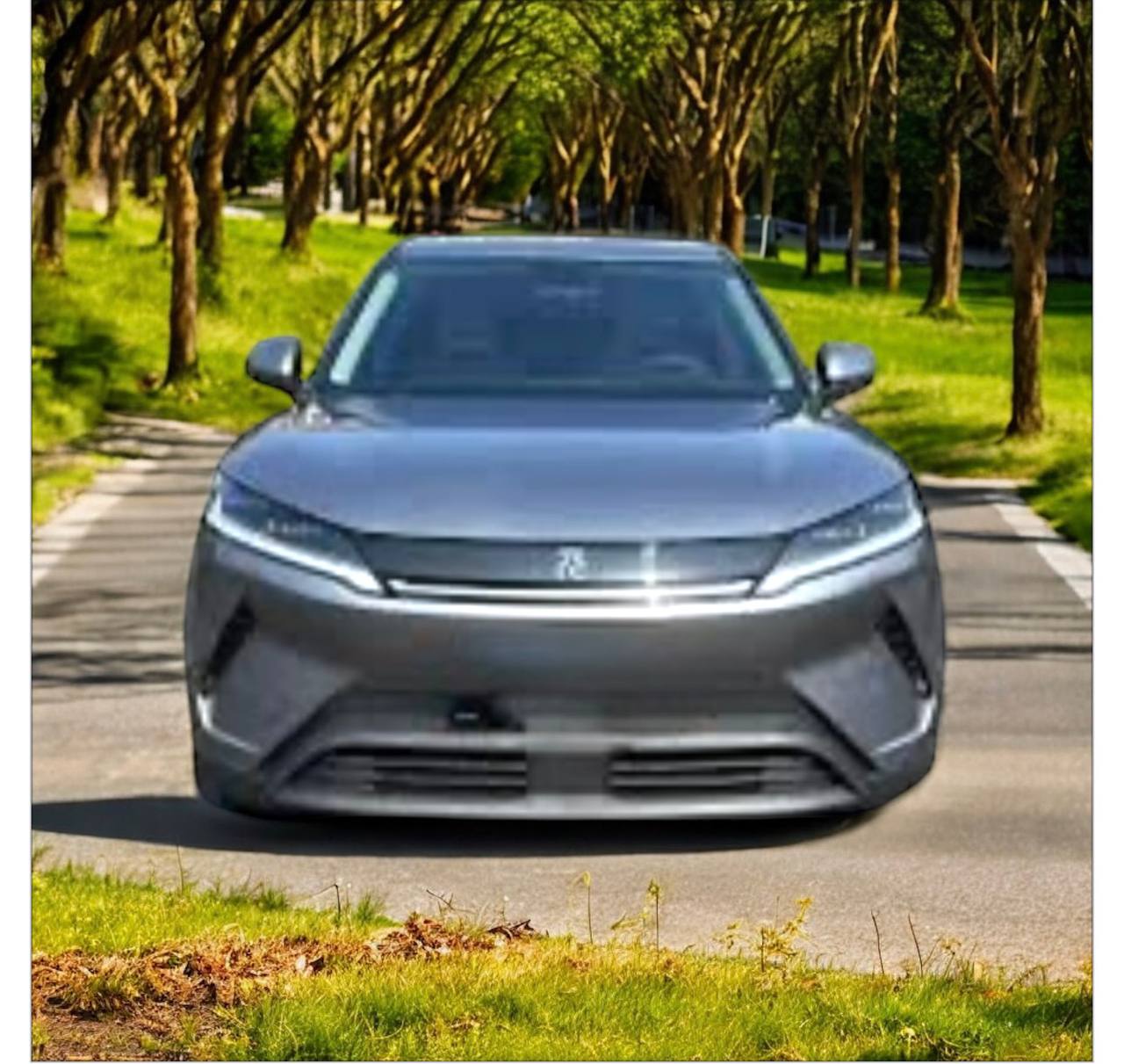 2025 BYD Yuan Up Electric SUV for Sale