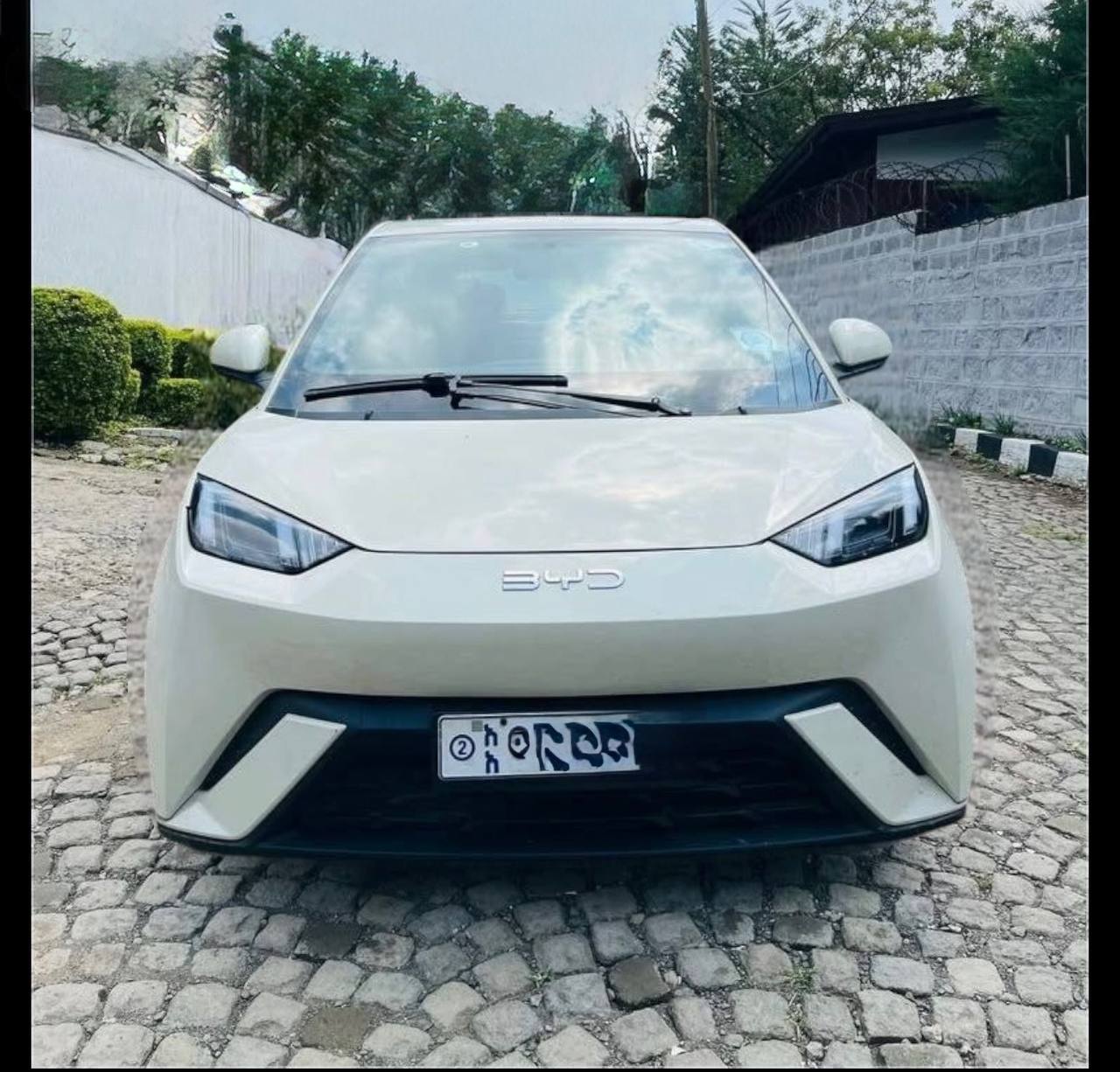 BYD Seagull (Dolphin Mini)